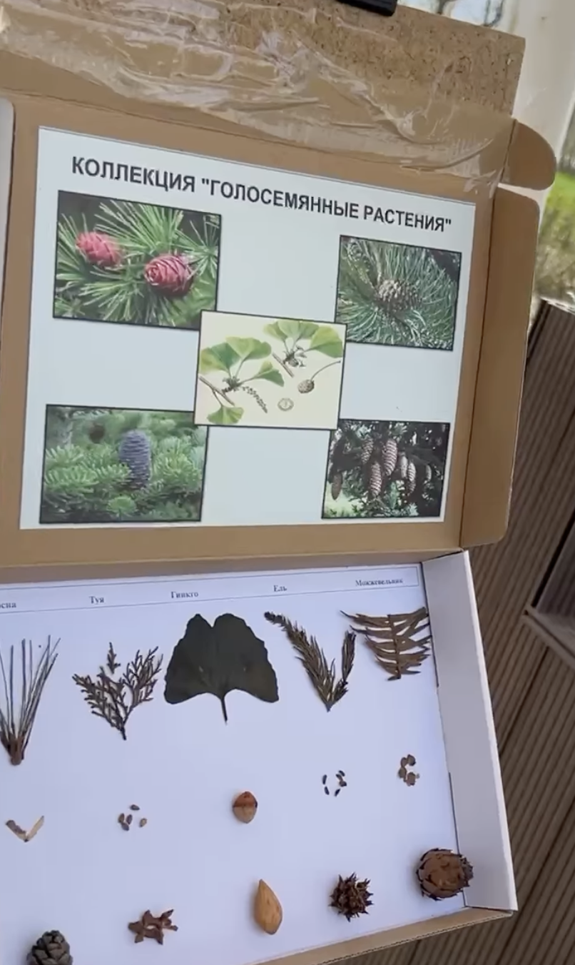 "Өсімдіктер систематикасы" ашық сабақ