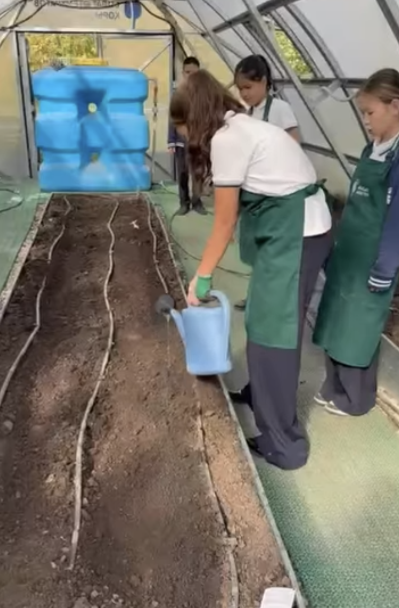 “Экология және біз” сабағы: Теплицада көкөніс отырғызу