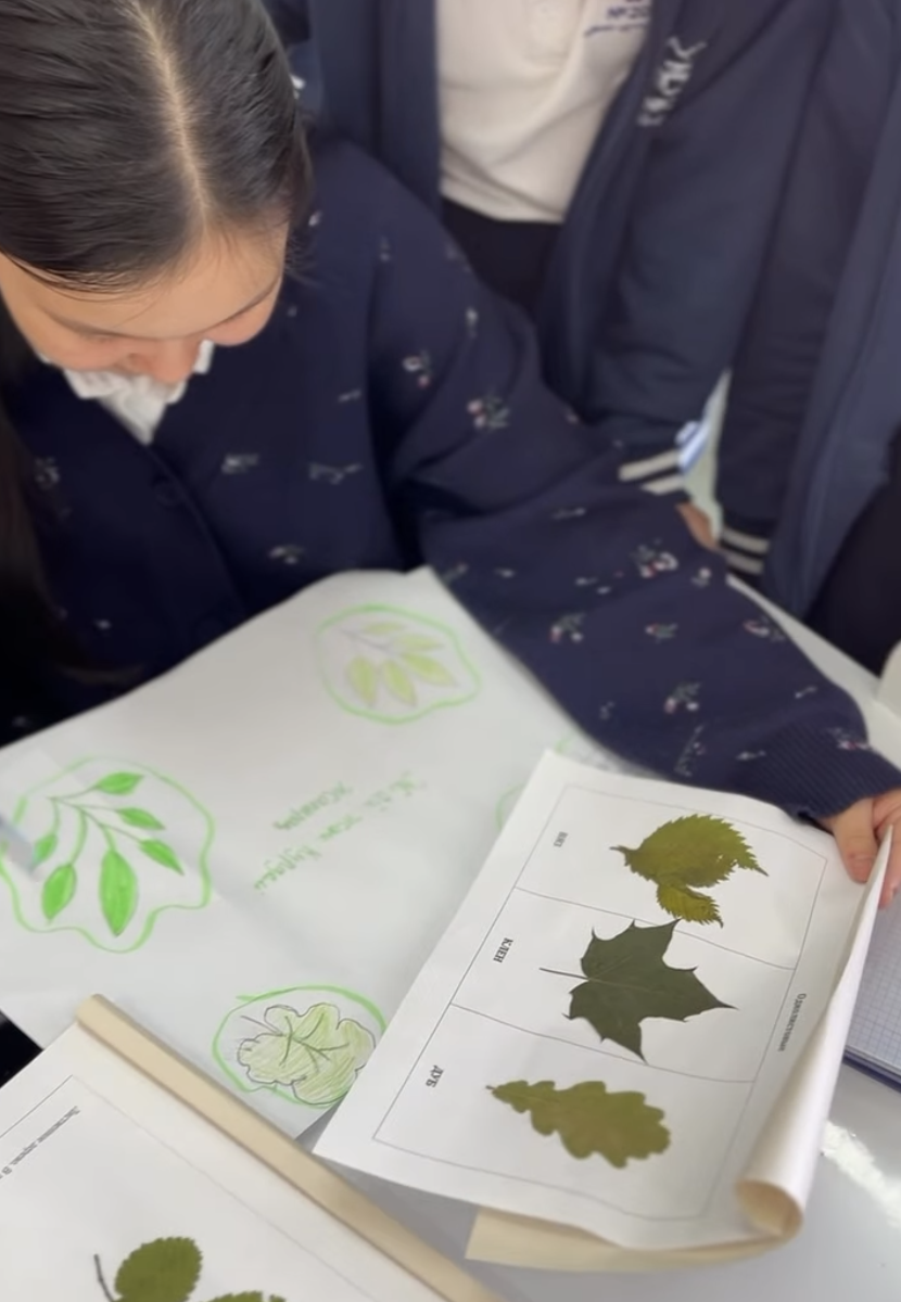 7 “Ә” сынып оқушыларымен жапырақтың құрылысы мен қызметін зерттедік