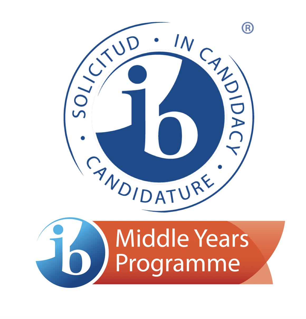 School-gymnasium №201 is a Candidate School for the MYP Program